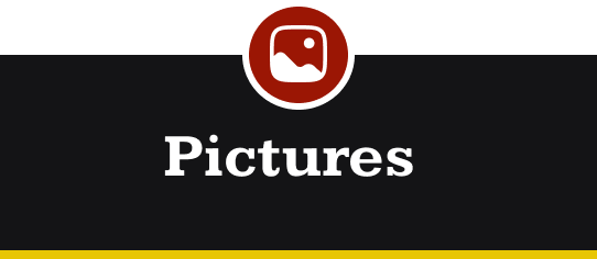 Pictures